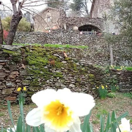 Des Sources Cevenol
