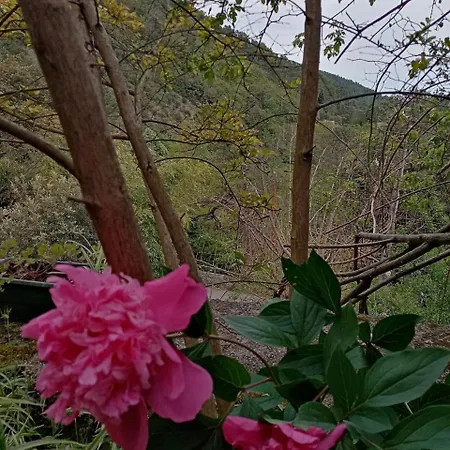 Des Sources Cevenol ベッド・アンド・ブレックファスト