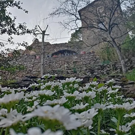 ベッド・アンド・ブレックファスト Des Sources Cevenol *