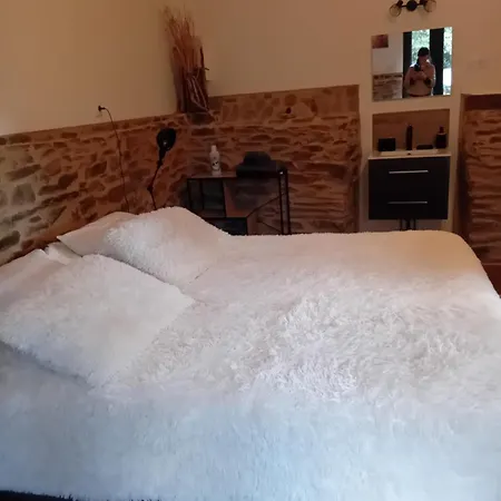 ベッド・アンド・ブレックファスト Des Sources Cevenol *