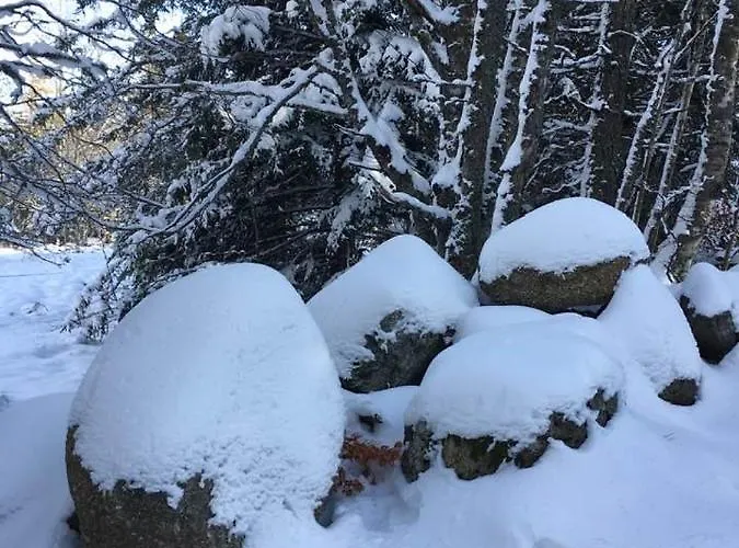 Couette-café Des Sources Cévenol