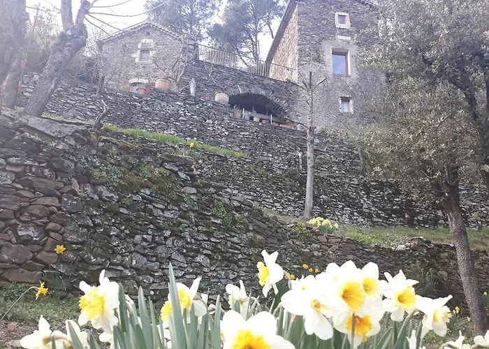 Couette-café Des Sources Cévenol *