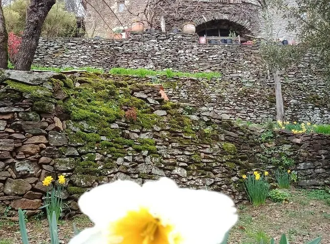 Des Sources Cévenol