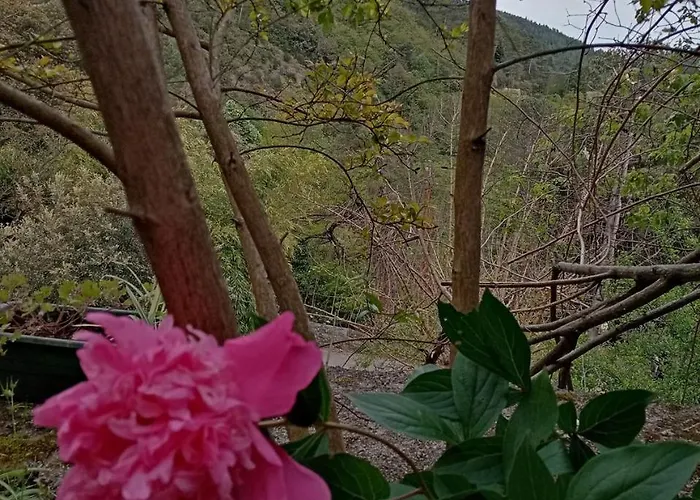 Des Sources Cévenol Couette-café