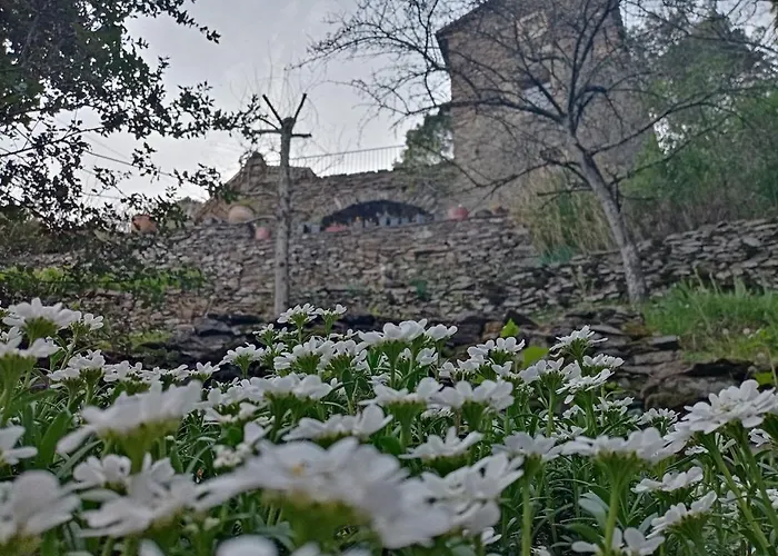 Couette-café Des Sources Cévenol *