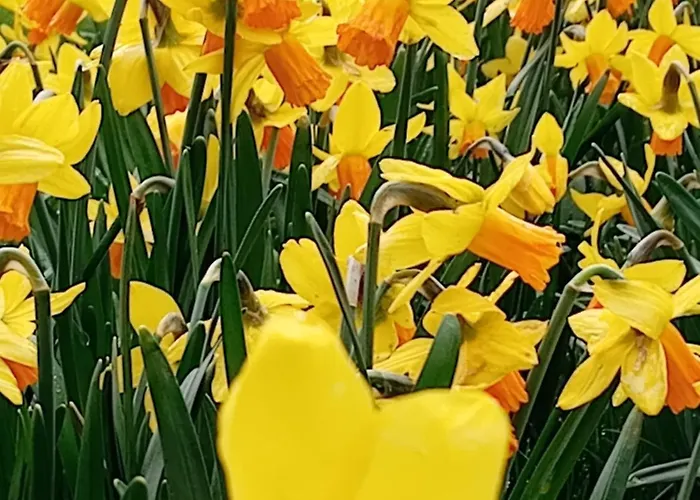 Des Sources Cévenol Couette-café Chambon (Gard)