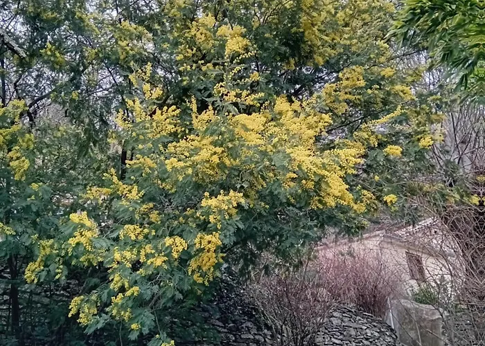 Couette-café Des Sources Cévenol *